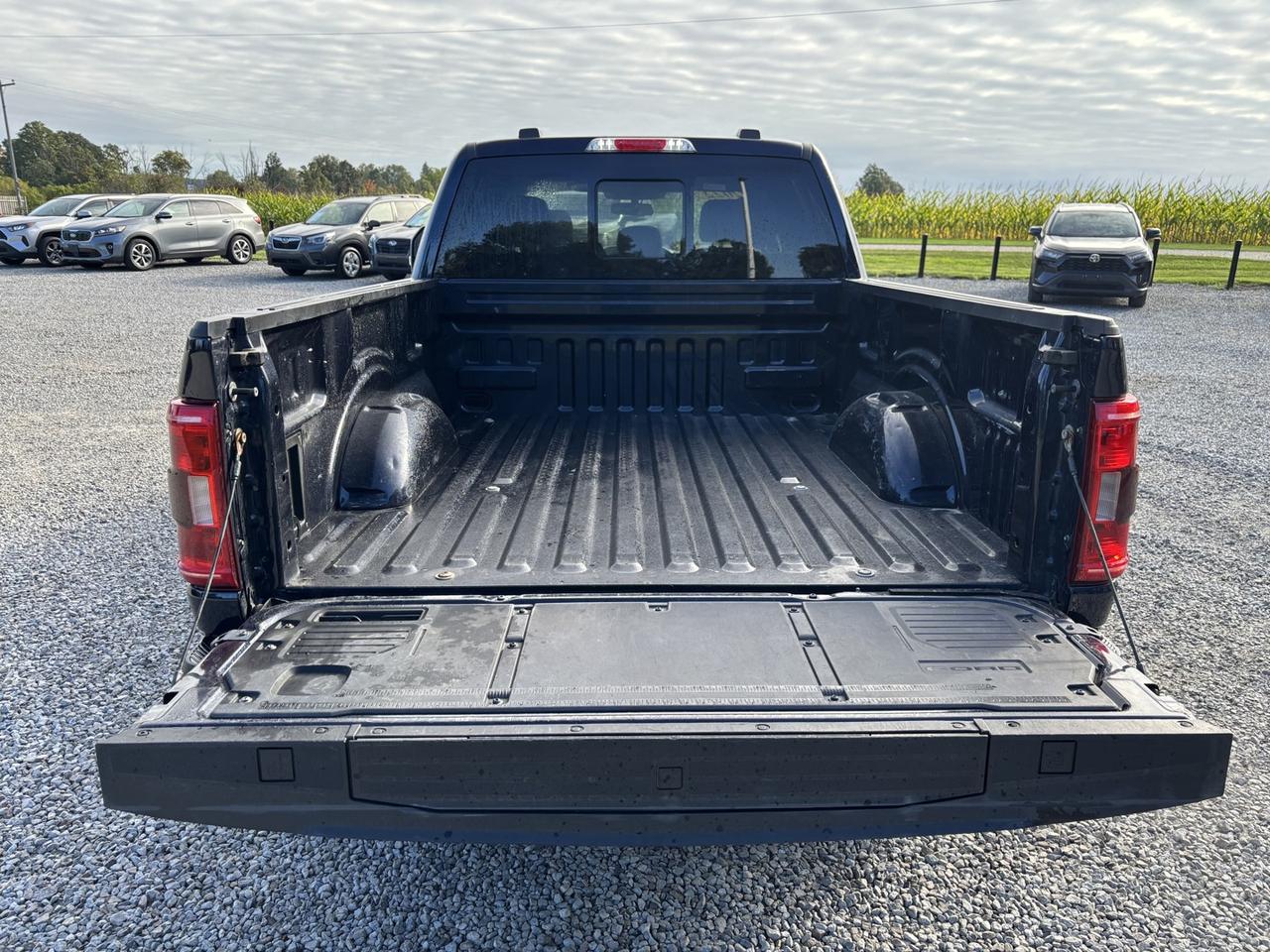 2022 Ford F-150 XLT Photo