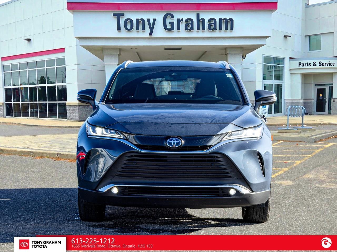 2024 Toyota Venza XLE Photo