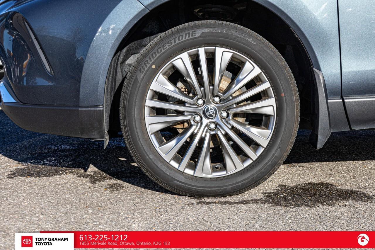 2024 Toyota Venza XLE Photo