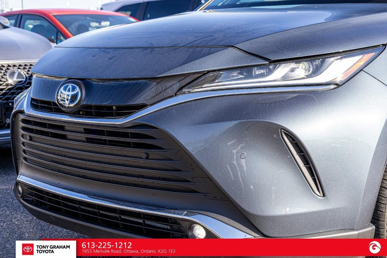 2024 Toyota Venza XLE Photo