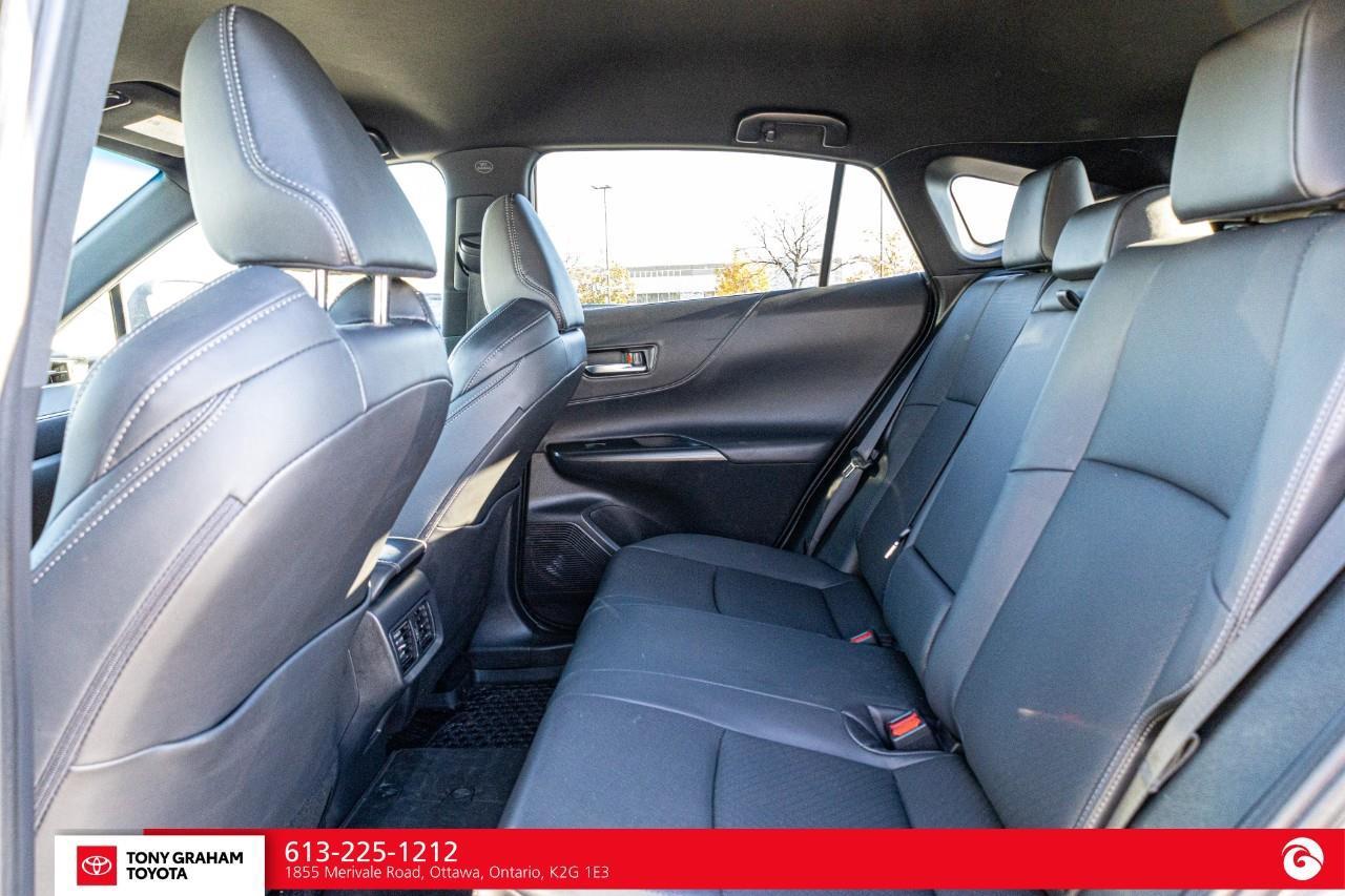 2024 Toyota Venza XLE Photo