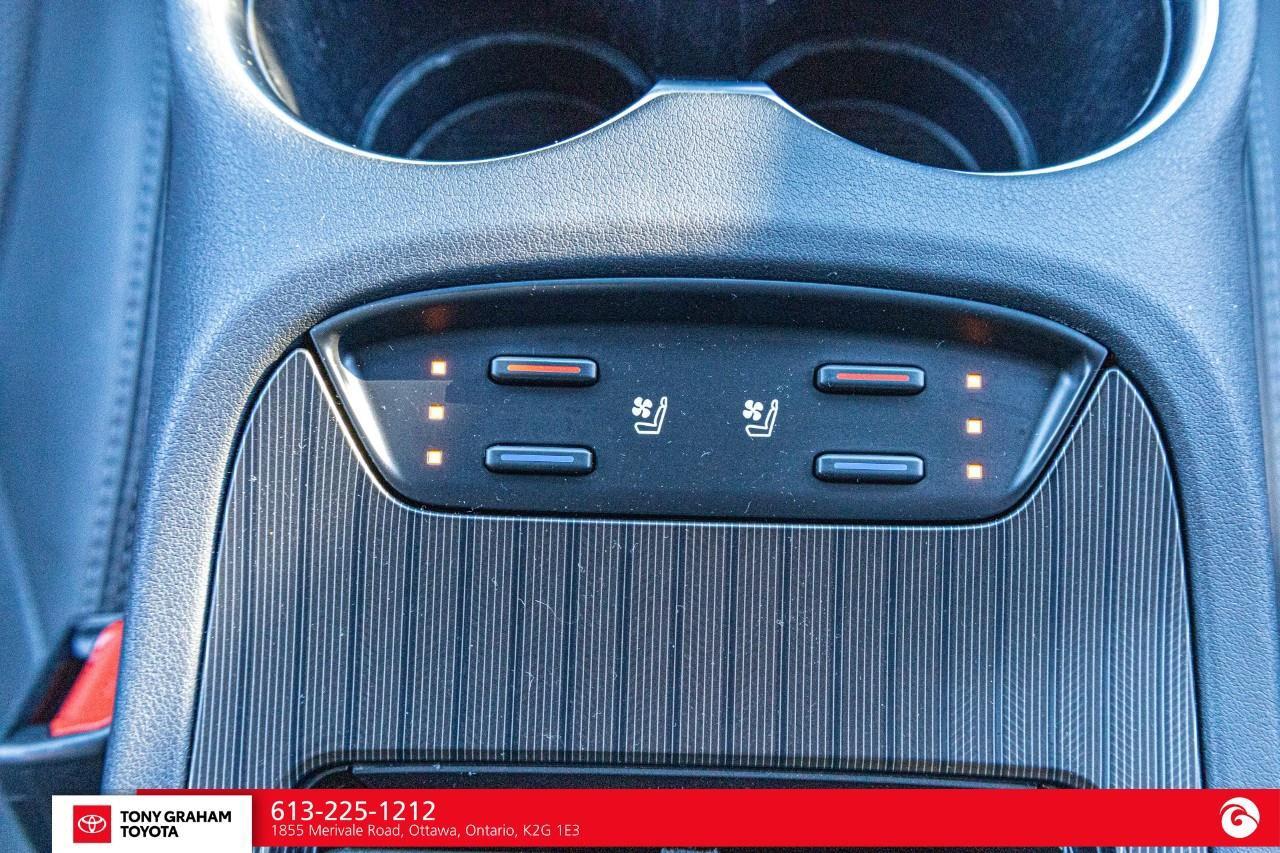 2024 Toyota Venza XLE Photo