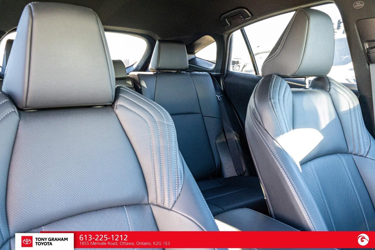 2024 Toyota Venza XLE Photo