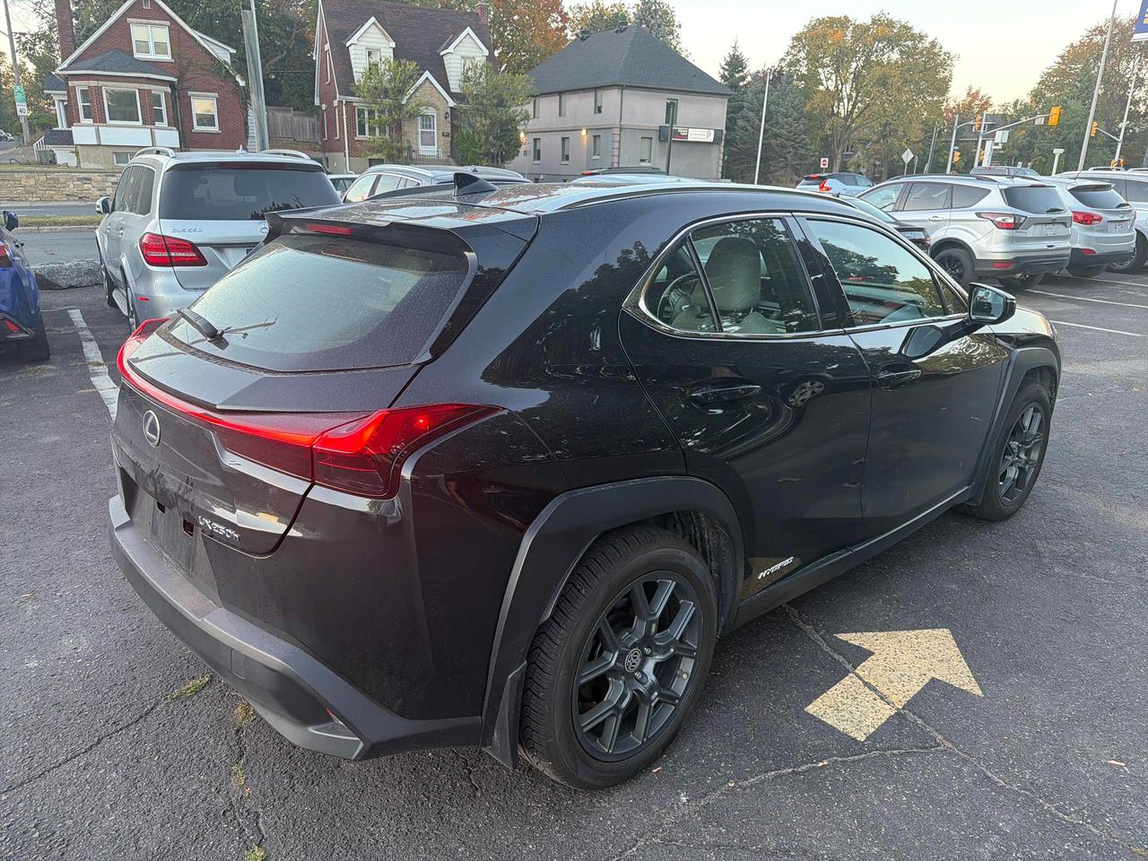 2021 Lexus UX UX 250H Photo