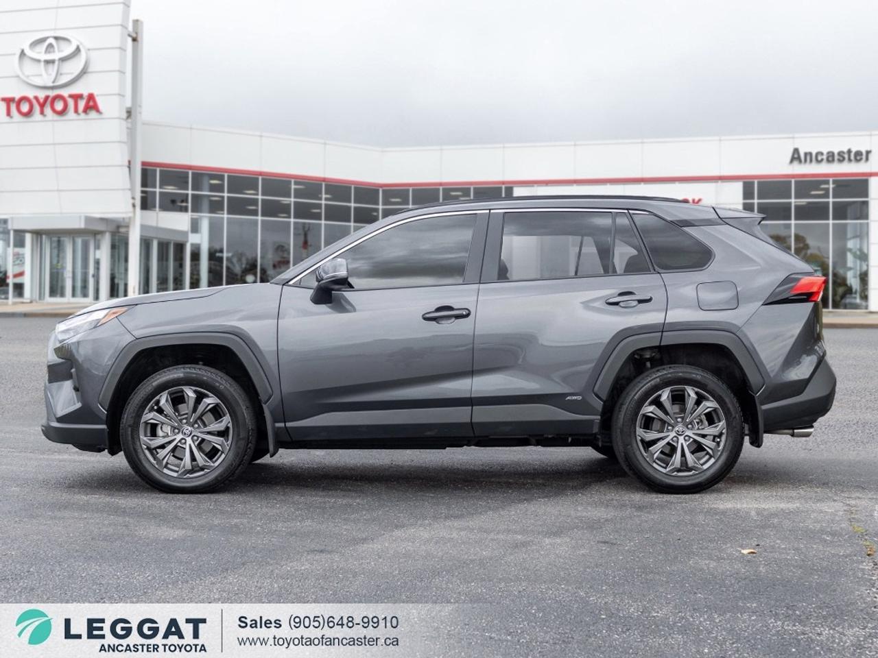 2024 Toyota RAV4 Hybrid Hybrid XLE PREMIUM AWD Photo2
