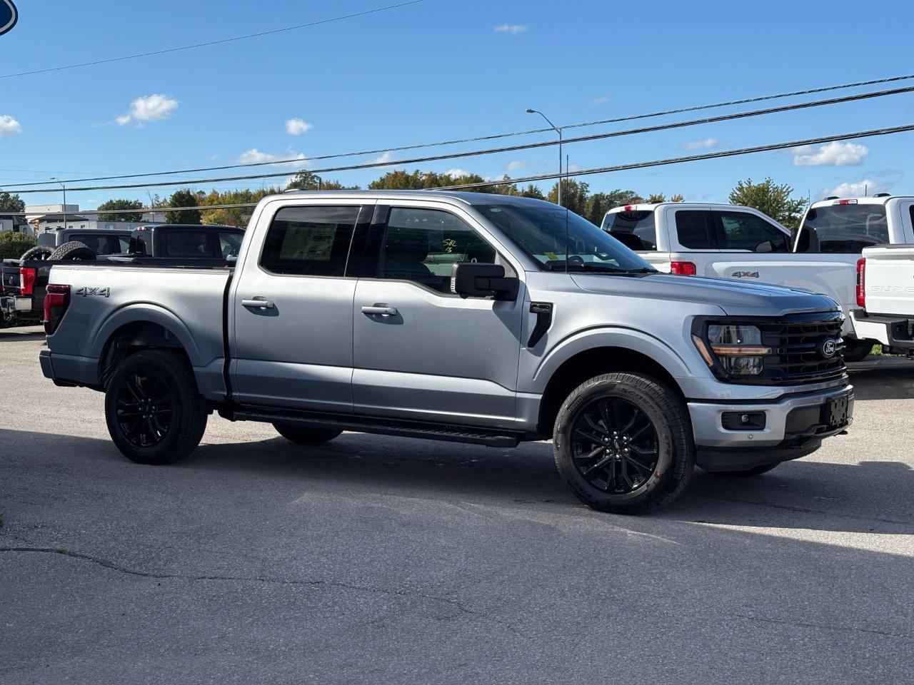 2026 Ford F-150 XLT 4WD SuperCrew 5.5' Box Photo
