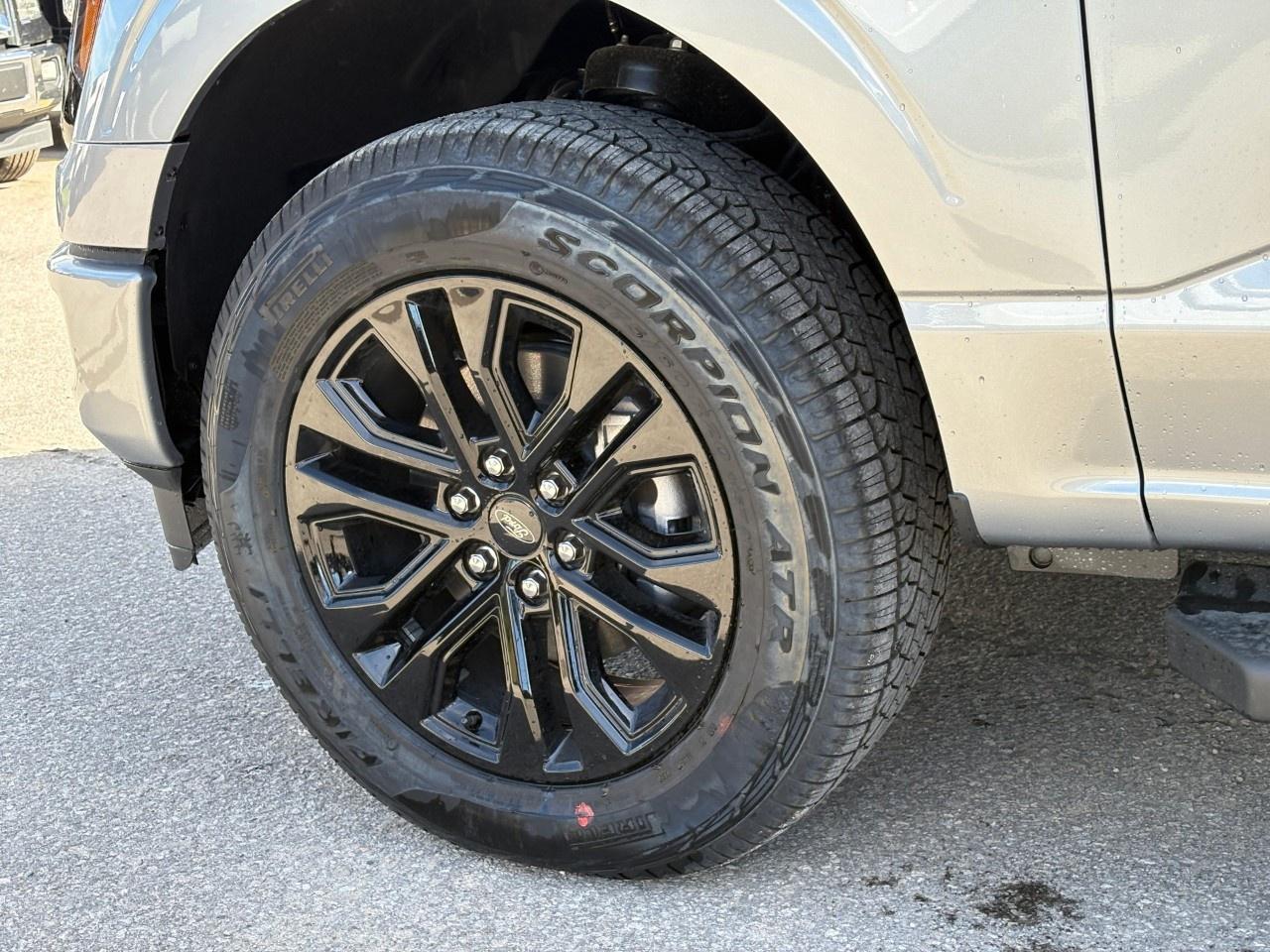 2026 Ford F-150 XLT 4WD SuperCrew 5.5' Box Photo