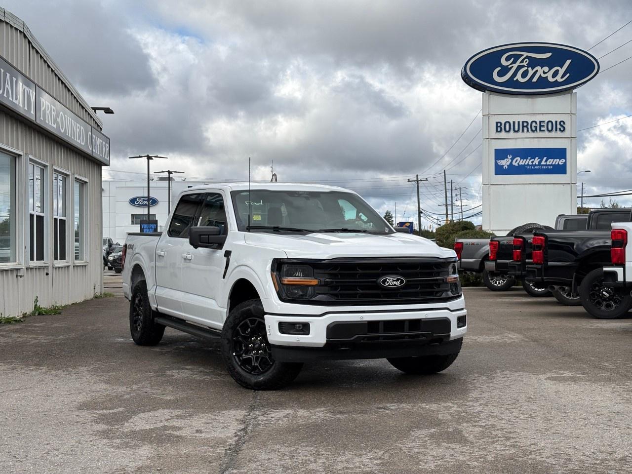 2026 Ford F-150 XLT 4WD SuperCrew 5.5' Box Photo