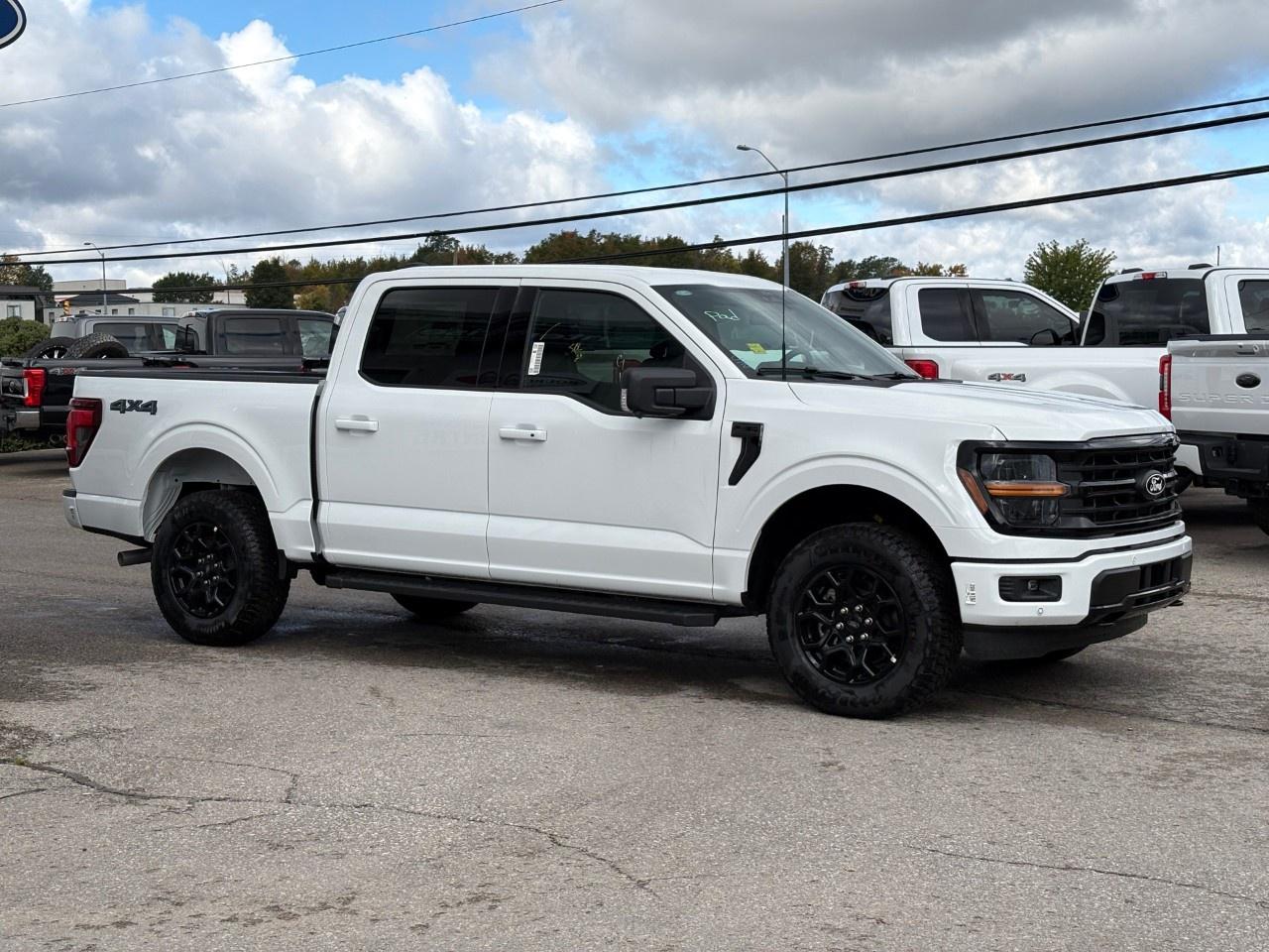 2026 Ford F-150 XLT 4WD SuperCrew 5.5' Box Photo