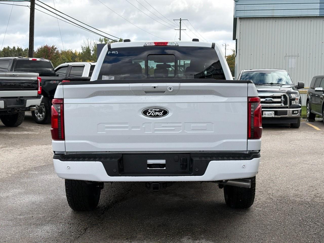 2026 Ford F-150 XLT 4WD SuperCrew 5.5' Box Photo