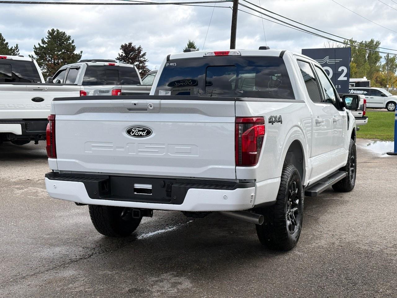 2026 Ford F-150 XLT 4WD SuperCrew 5.5' Box Photo