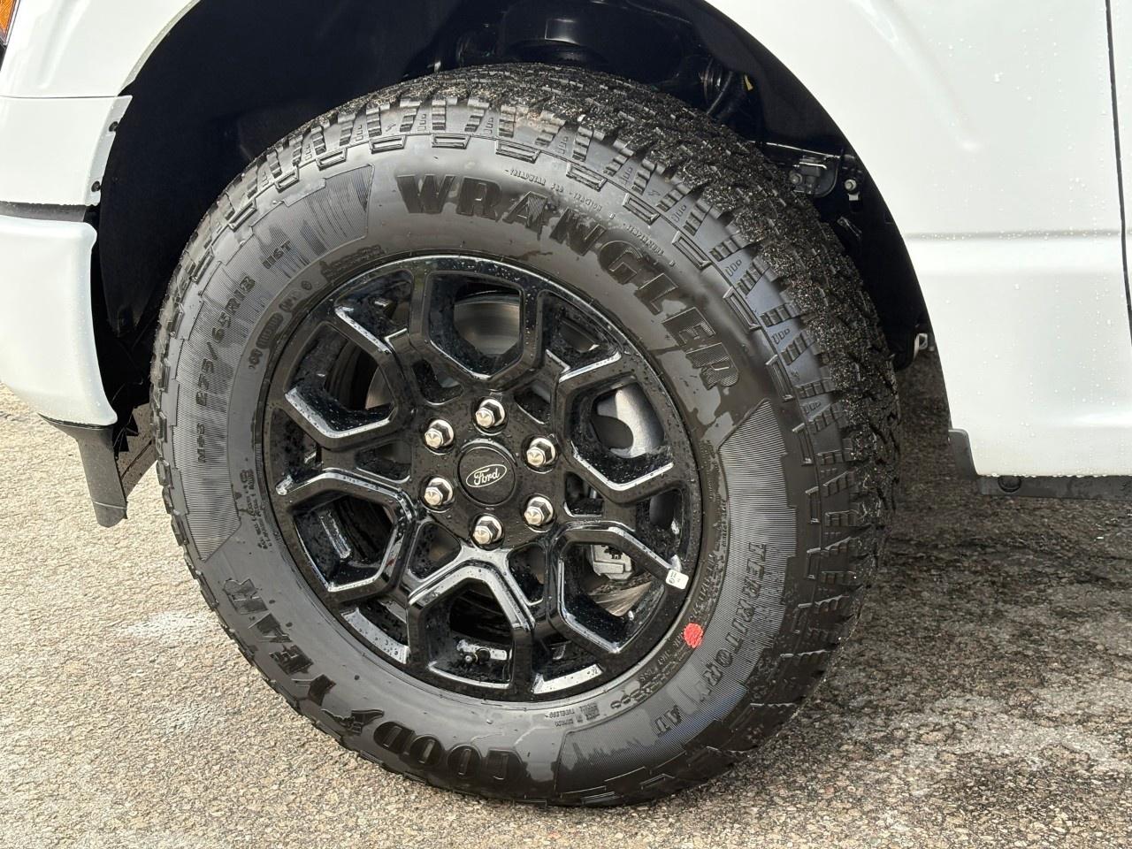 2026 Ford F-150 XLT 4WD SuperCrew 5.5' Box Photo