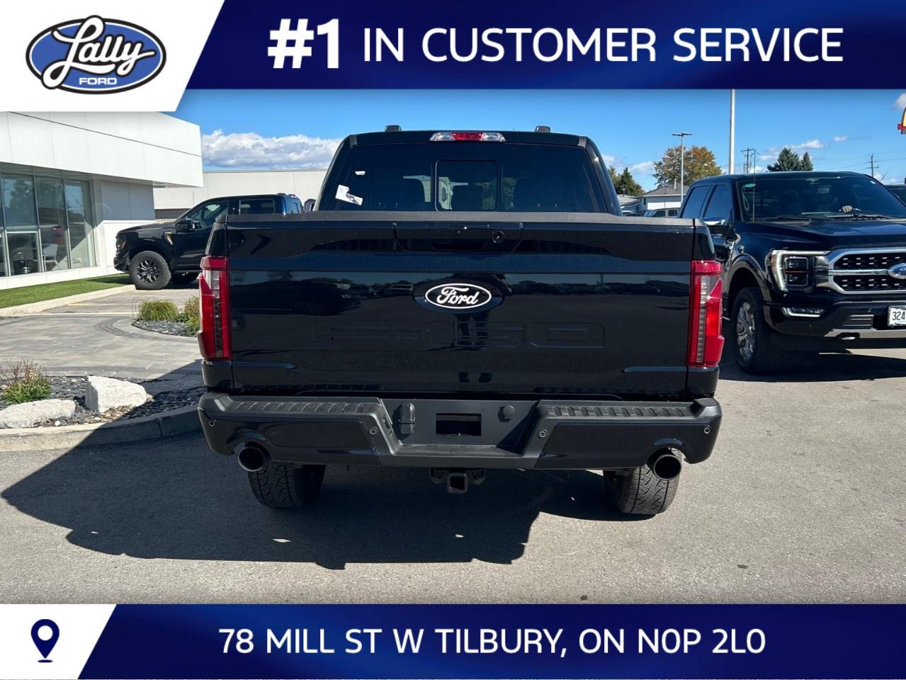 2026 Ford F-150 XLT 4WD SuperCrew 5.5' Box Photo