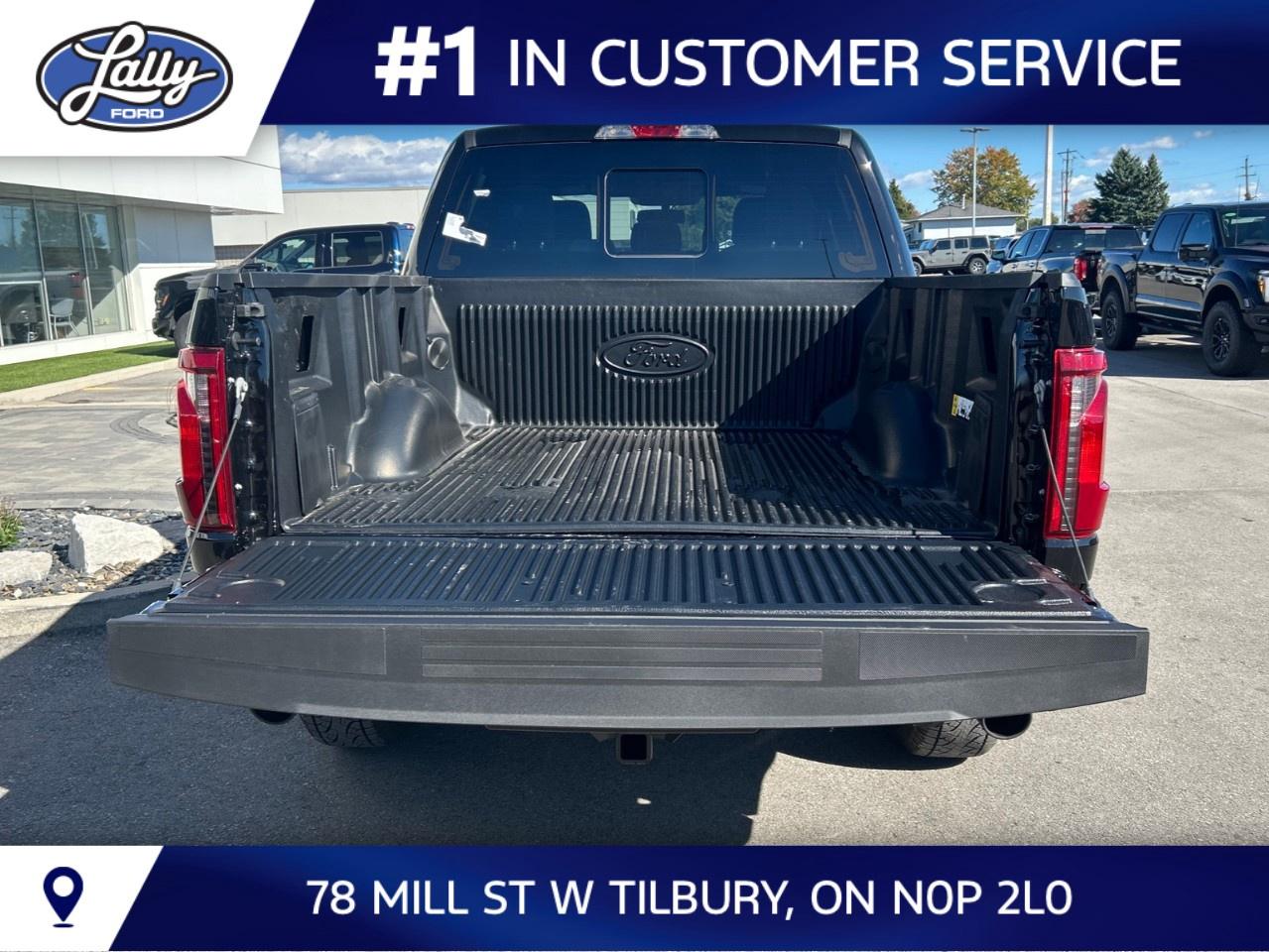 2026 Ford F-150 XLT 4WD SuperCrew 5.5' Box Photo
