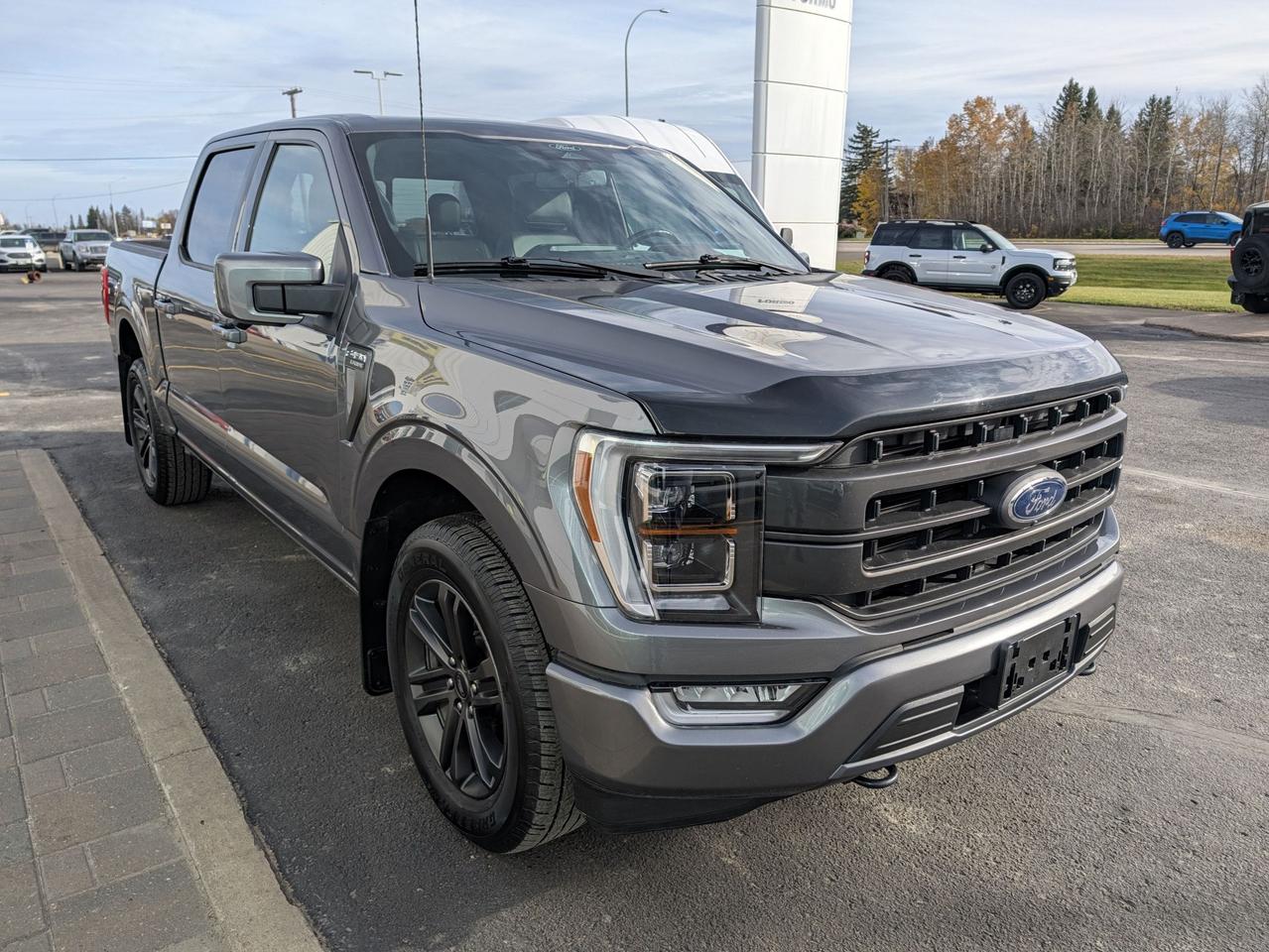2021 Ford F-150 Lariat Photo3