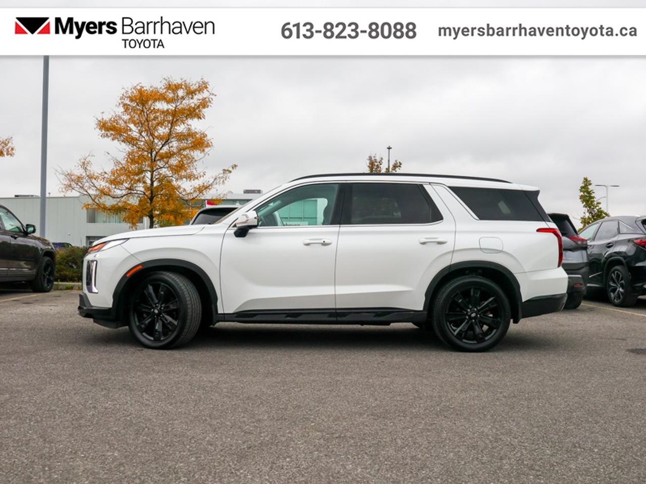 2024 Hyundai PALISADE Urban  - Cooled Seats -  Sunroof - $291 B/W Photo