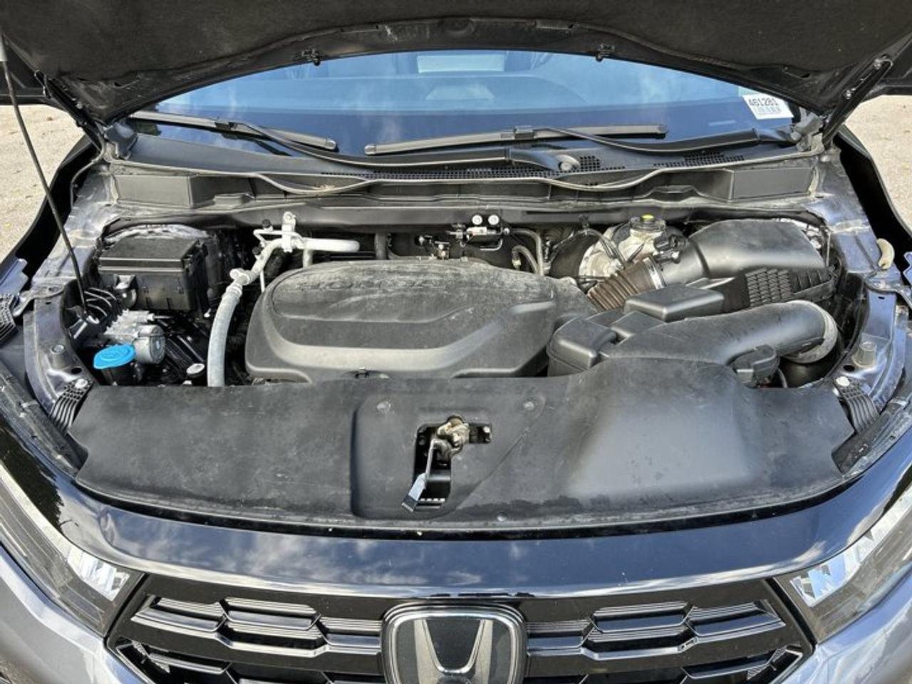 2025 Honda Odyssey Touring | No Accidents | Sunroof | Vent. Front Seats Photo