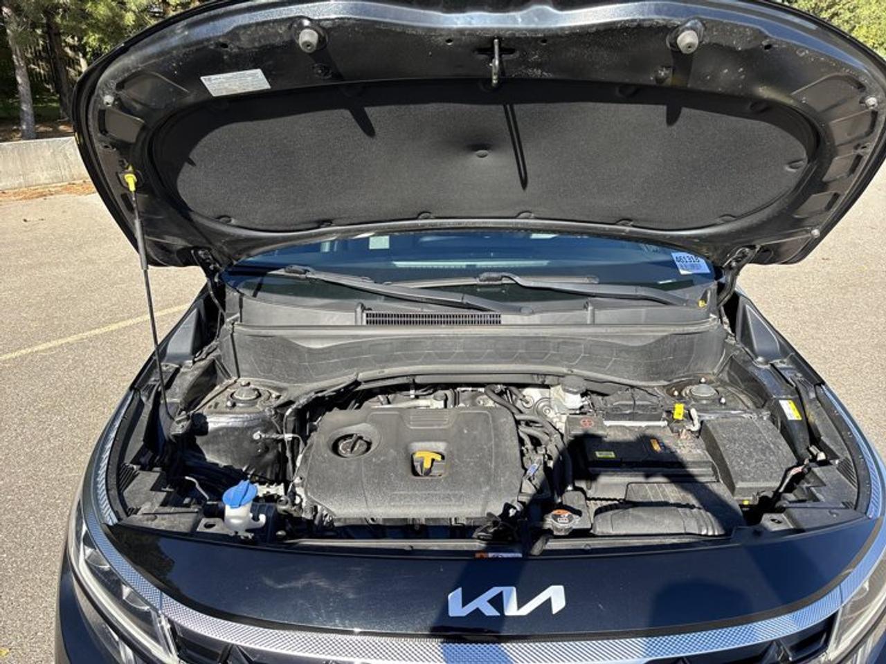 2025 Kia Seltos EX AWD | No Accidents | Heated Steering | Leather Seats Photo