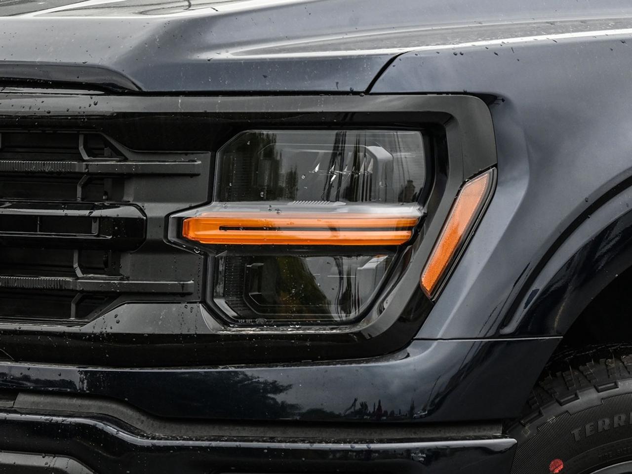 2026 Ford F-150 XLT Photo5