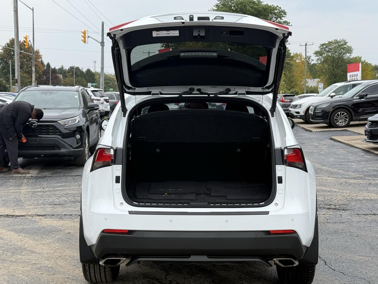 2017 Lexus NX 200t F SPORT Photo