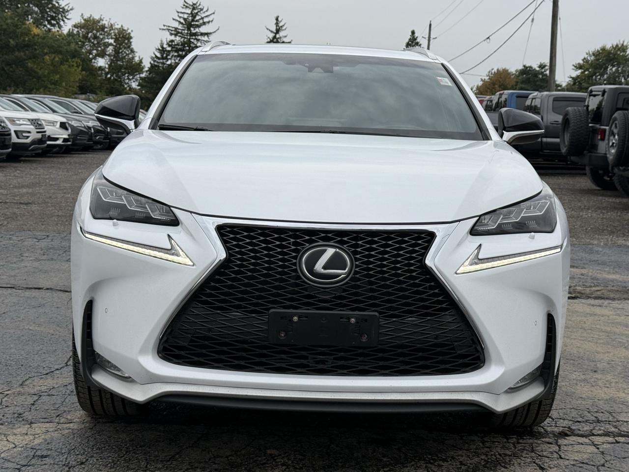 2017 Lexus NX 200t F SPORT Photo