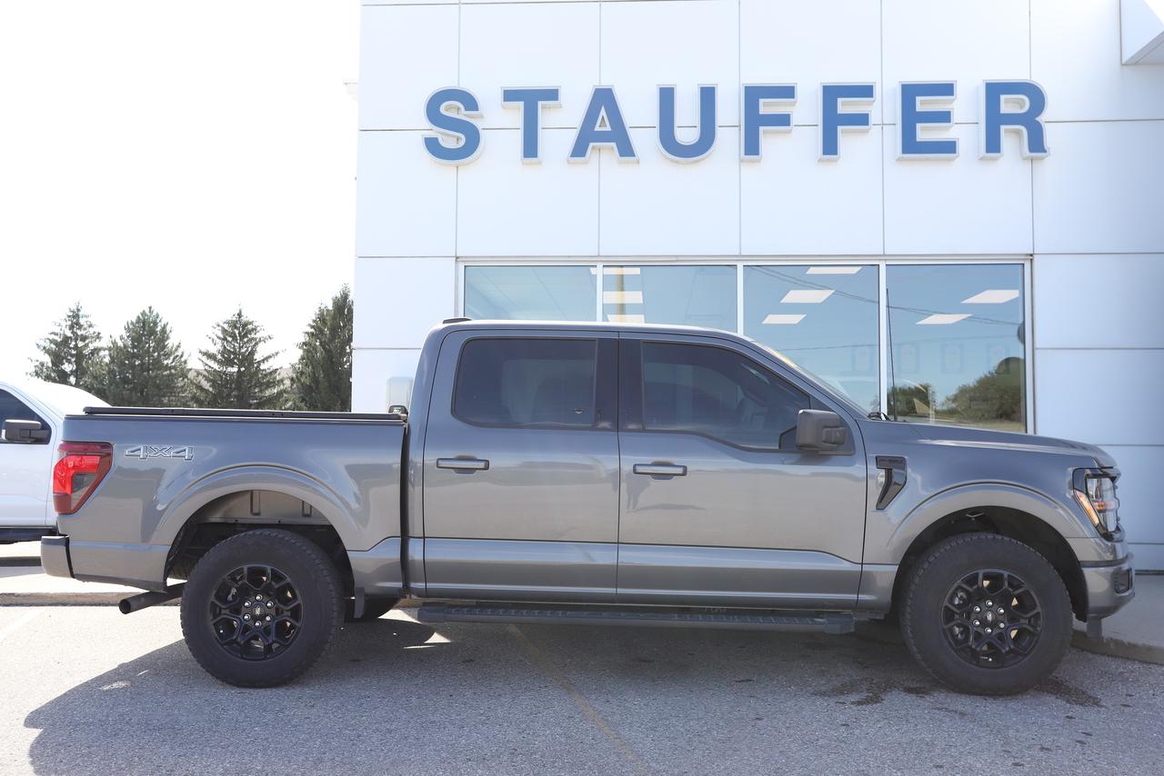 2025 Ford F-150 XLT 4WD SuperCrew 5.5' Box Photo2