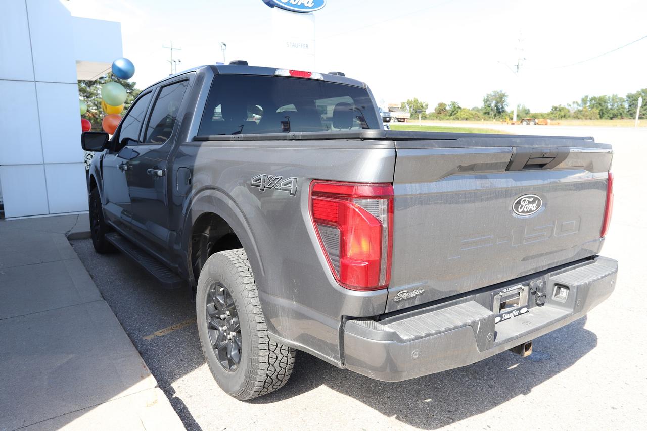 2025 Ford F-150 XLT 4WD SuperCrew 5.5' Box Photo