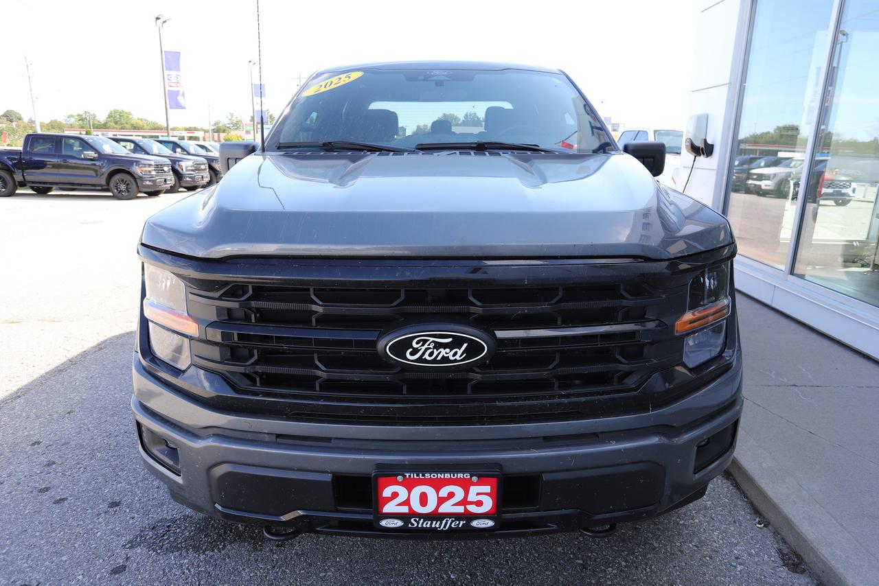 2025 Ford F-150 XLT 4WD SuperCrew 5.5' Box Photo