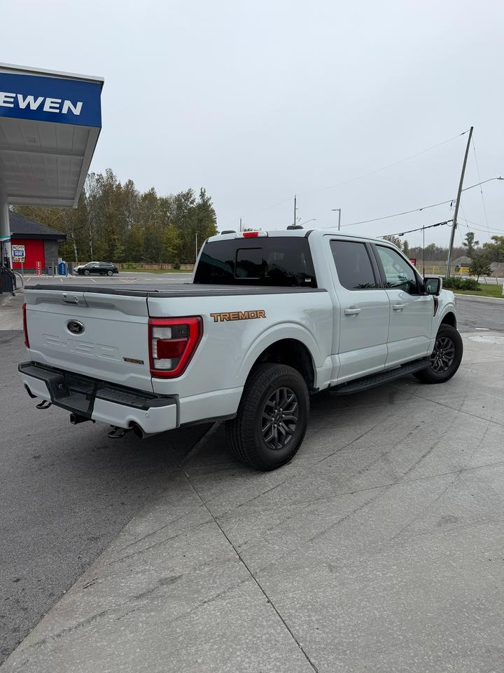 2023 Ford F-150 Tremor Photo4