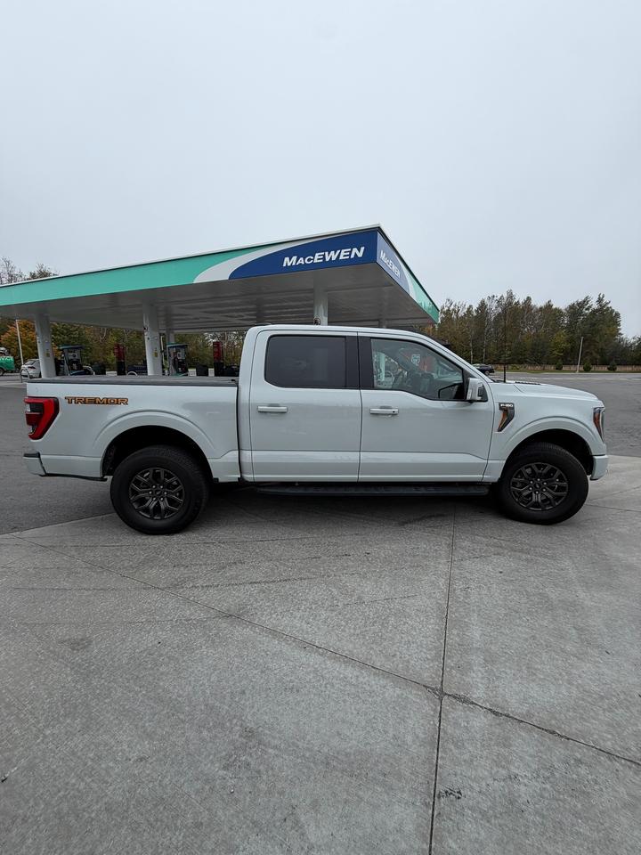 2023 Ford F-150 Tremor Photo