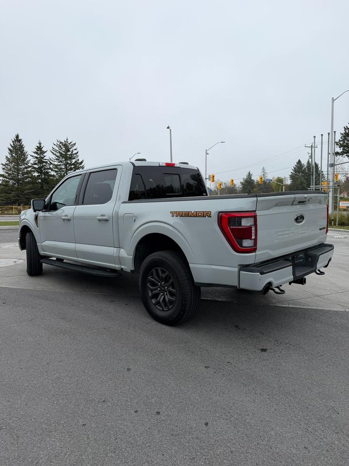2023 Ford F-150 Tremor Photo2
