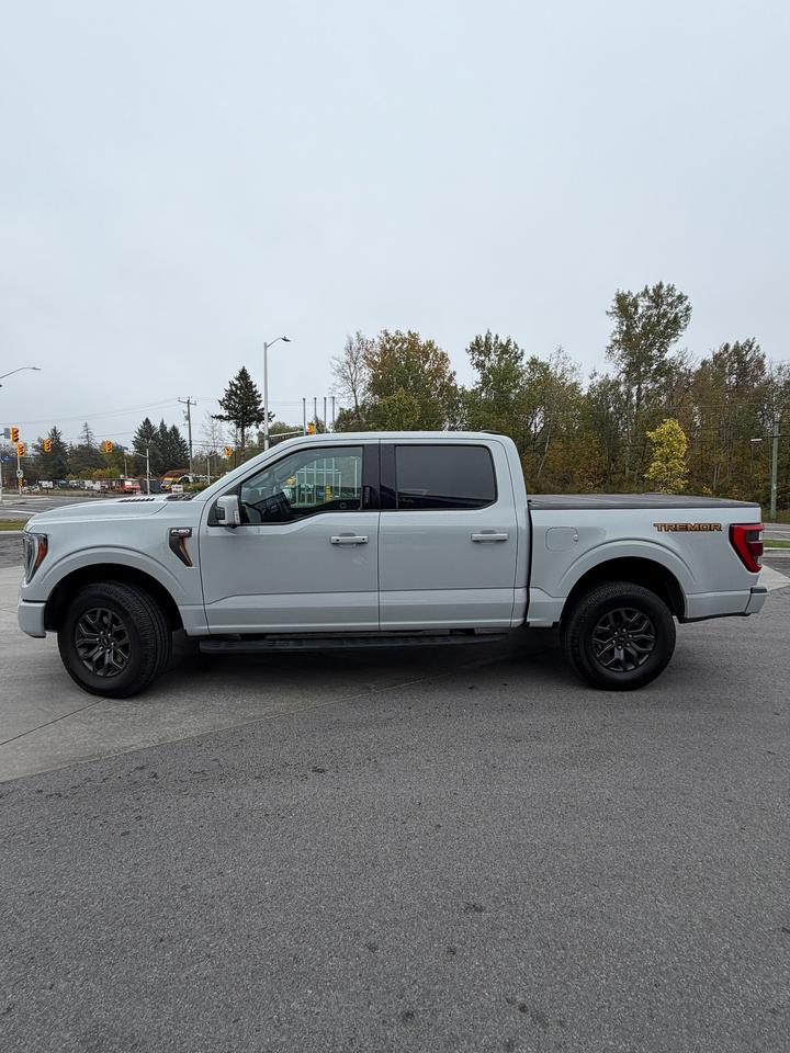 2023 Ford F-150 Tremor Photo1