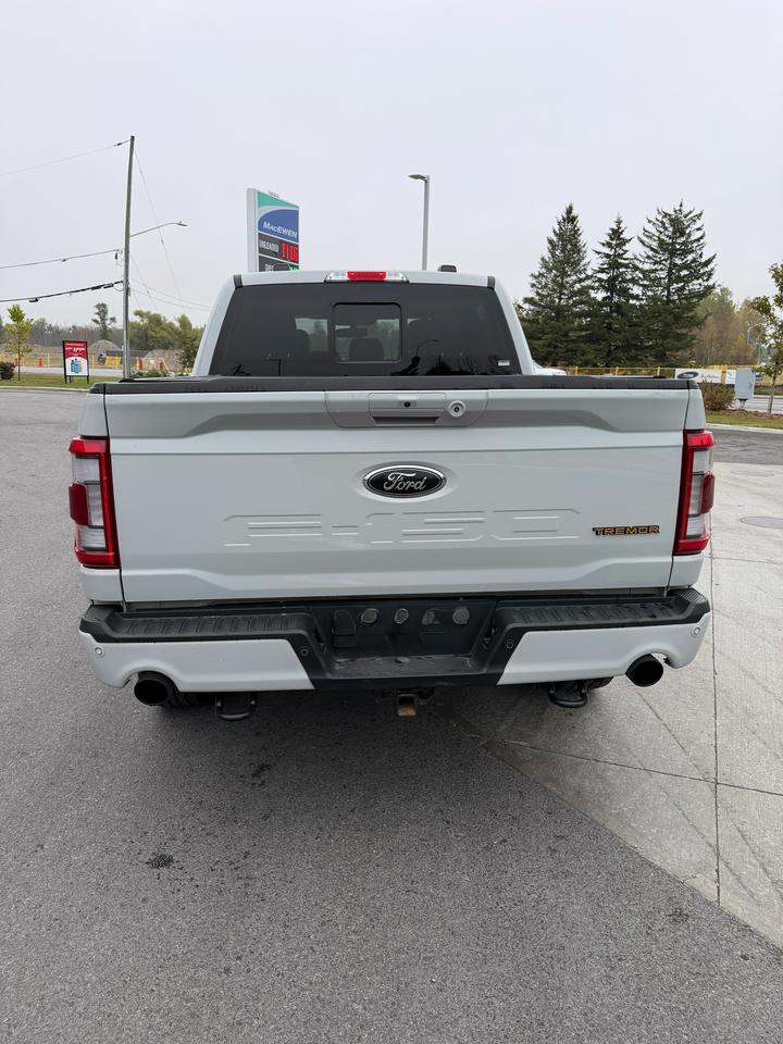 2023 Ford F-150 Tremor Photo3