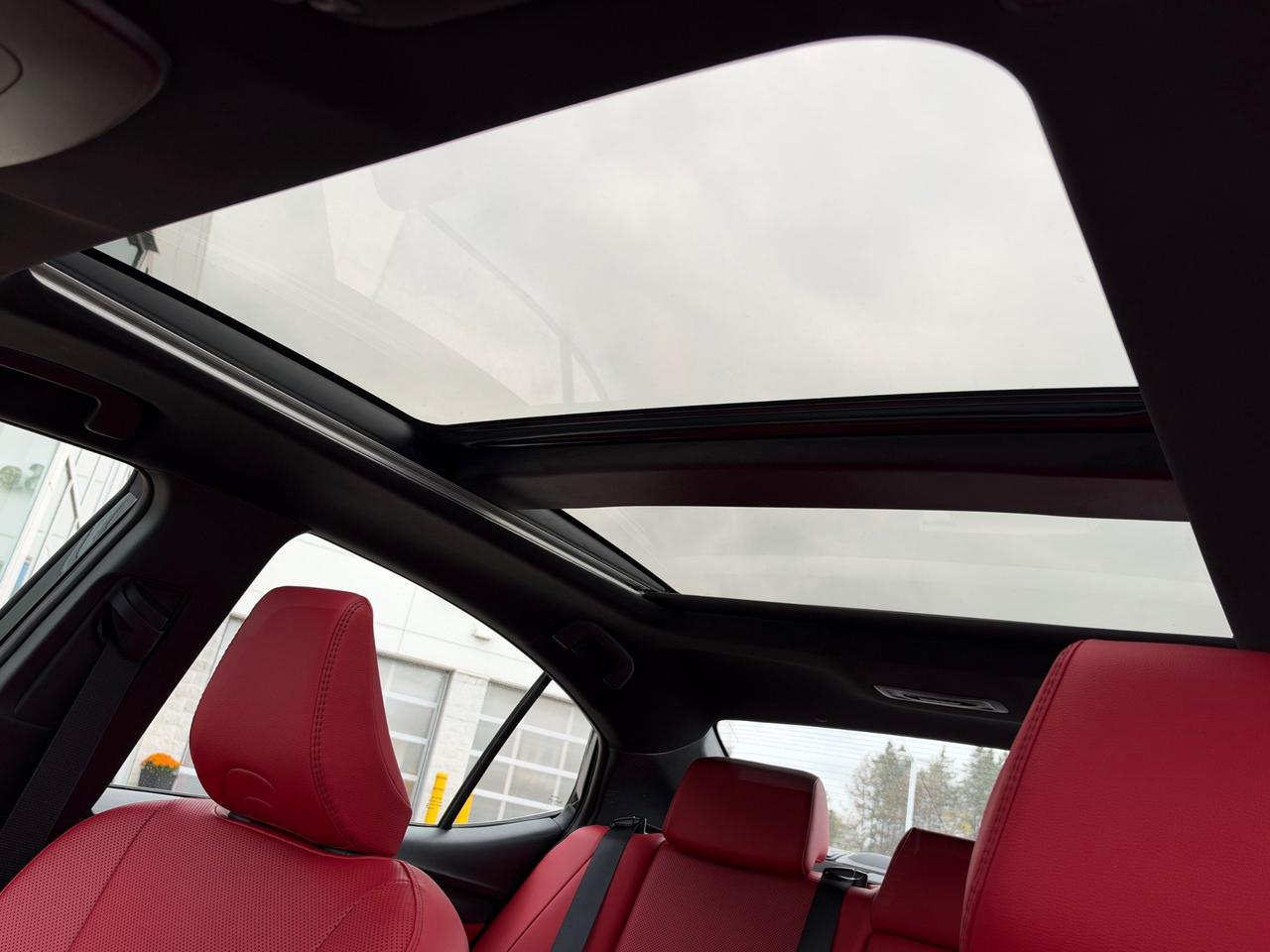 2025 Toyota Camry XSE AWD! Photo