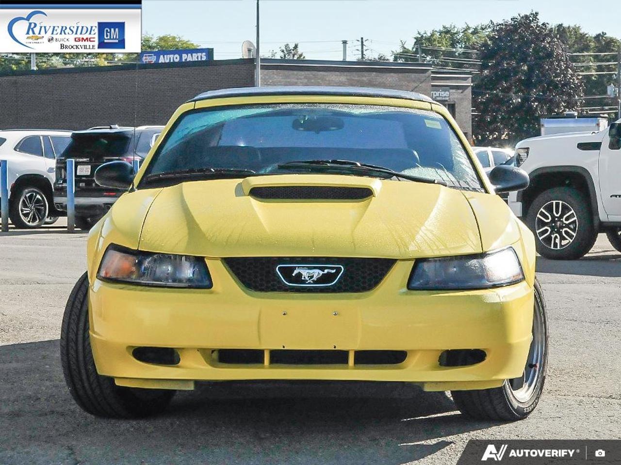 2001 Ford Mustang GT Photo5