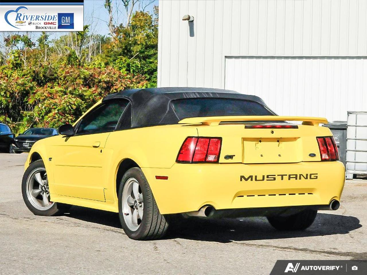 2001 Ford Mustang GT Photo