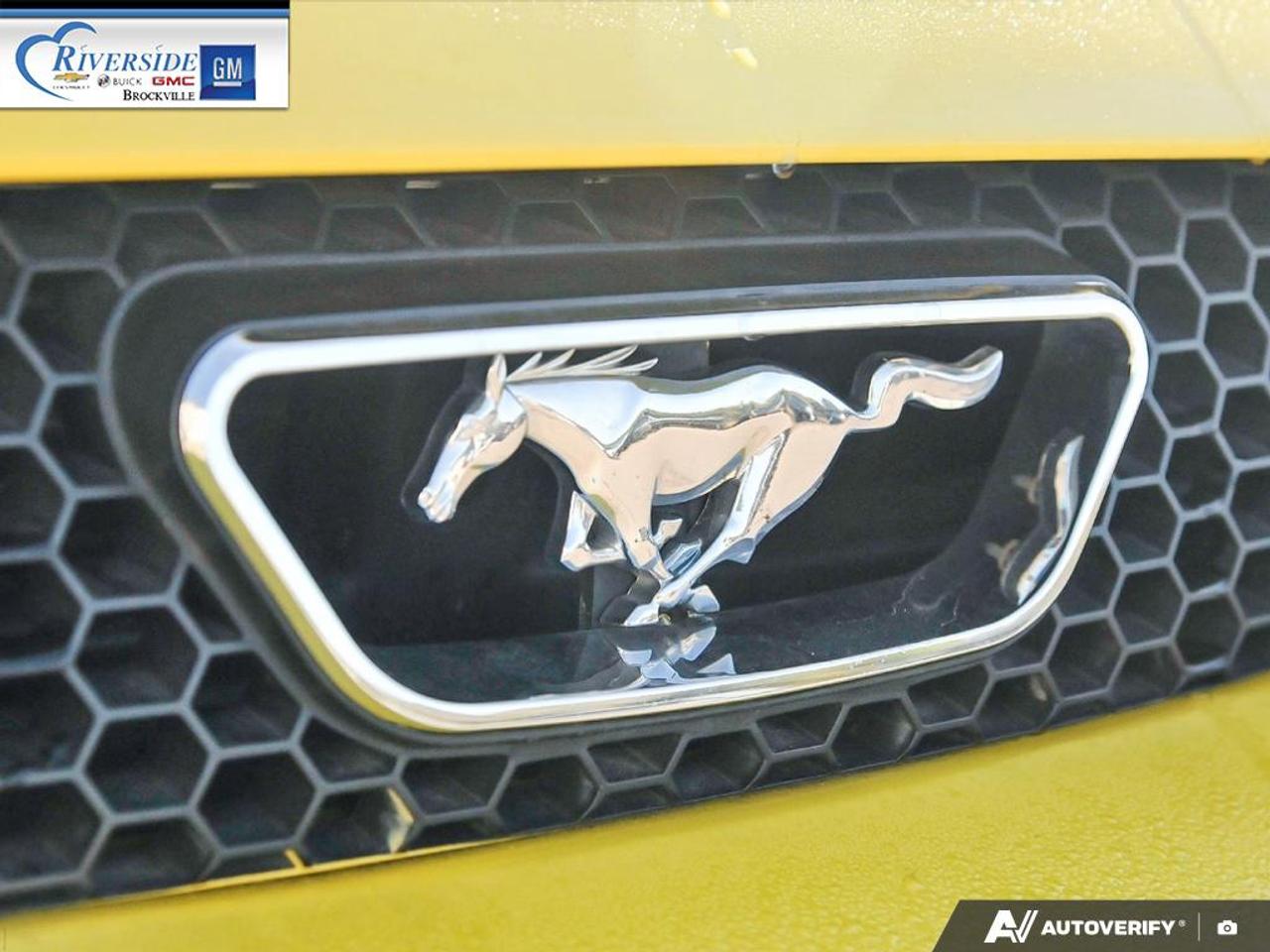 2001 Ford Mustang GT Photo