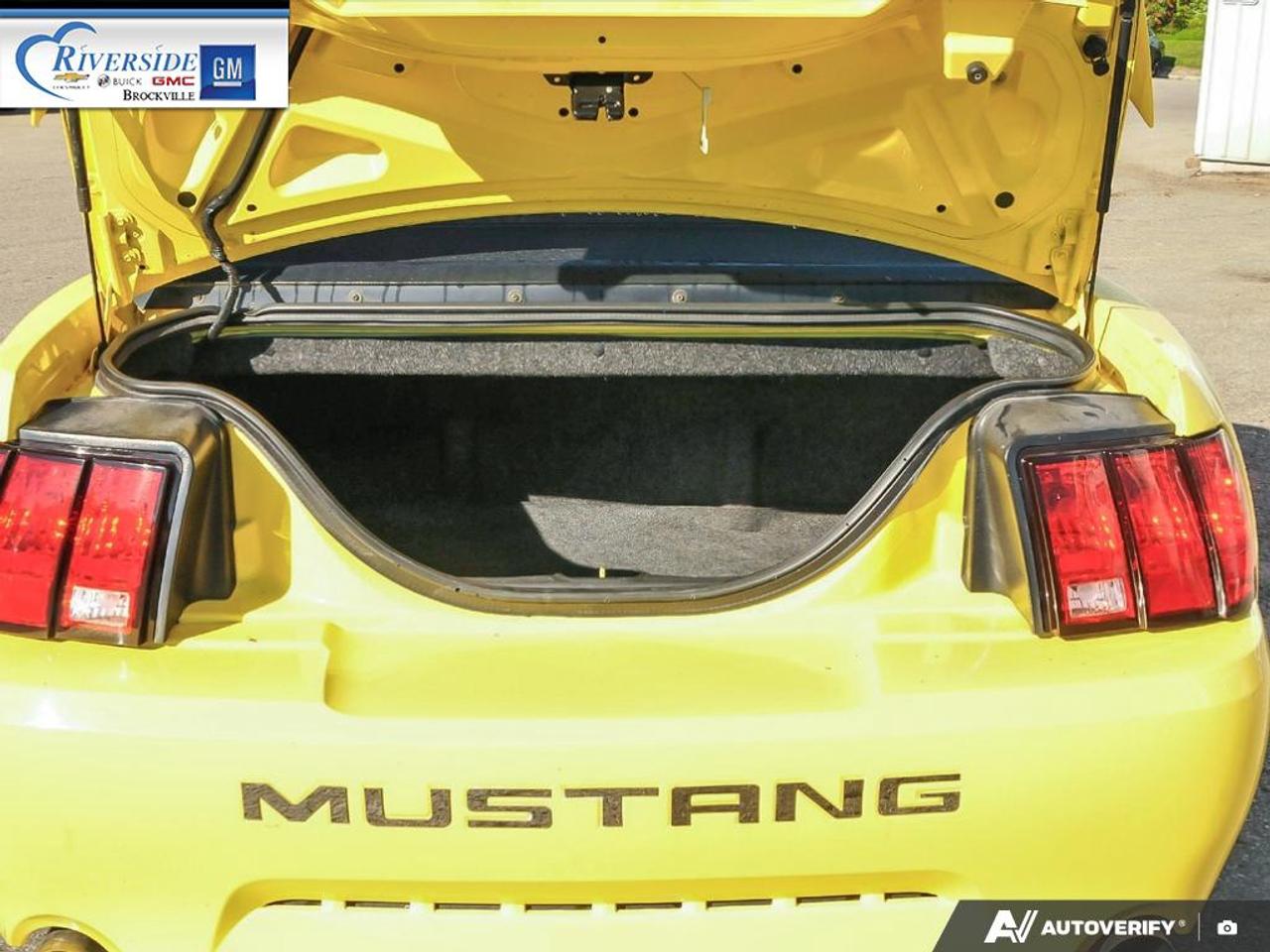 2001 Ford Mustang GT Photo