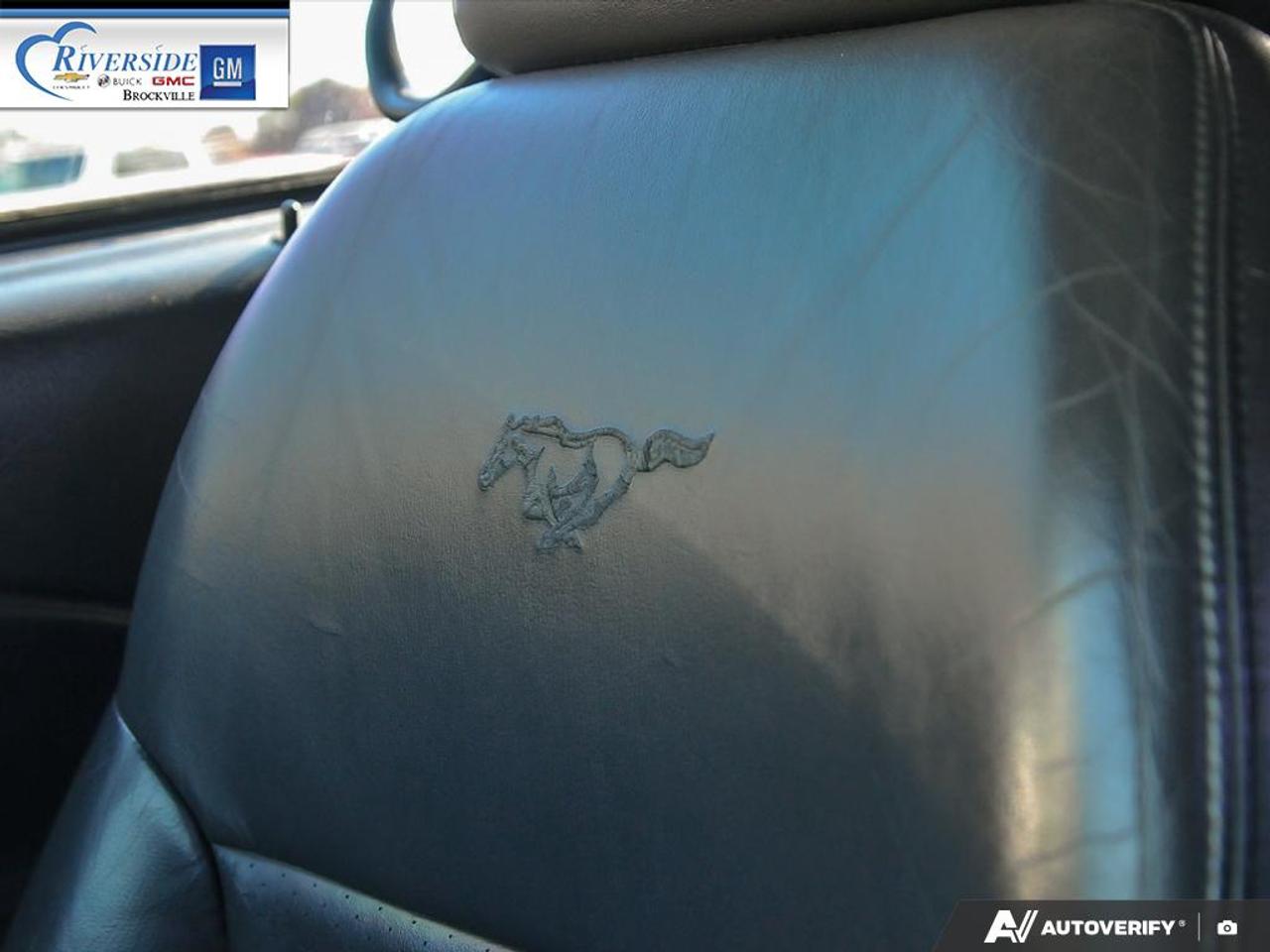 2001 Ford Mustang GT Photo