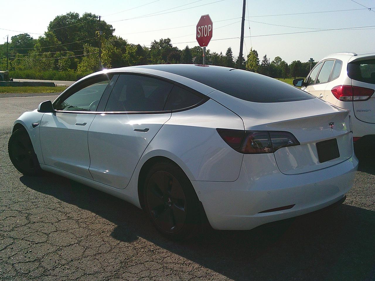 2021 Tesla Model 3 STANDARD RANGE PLUS Photo