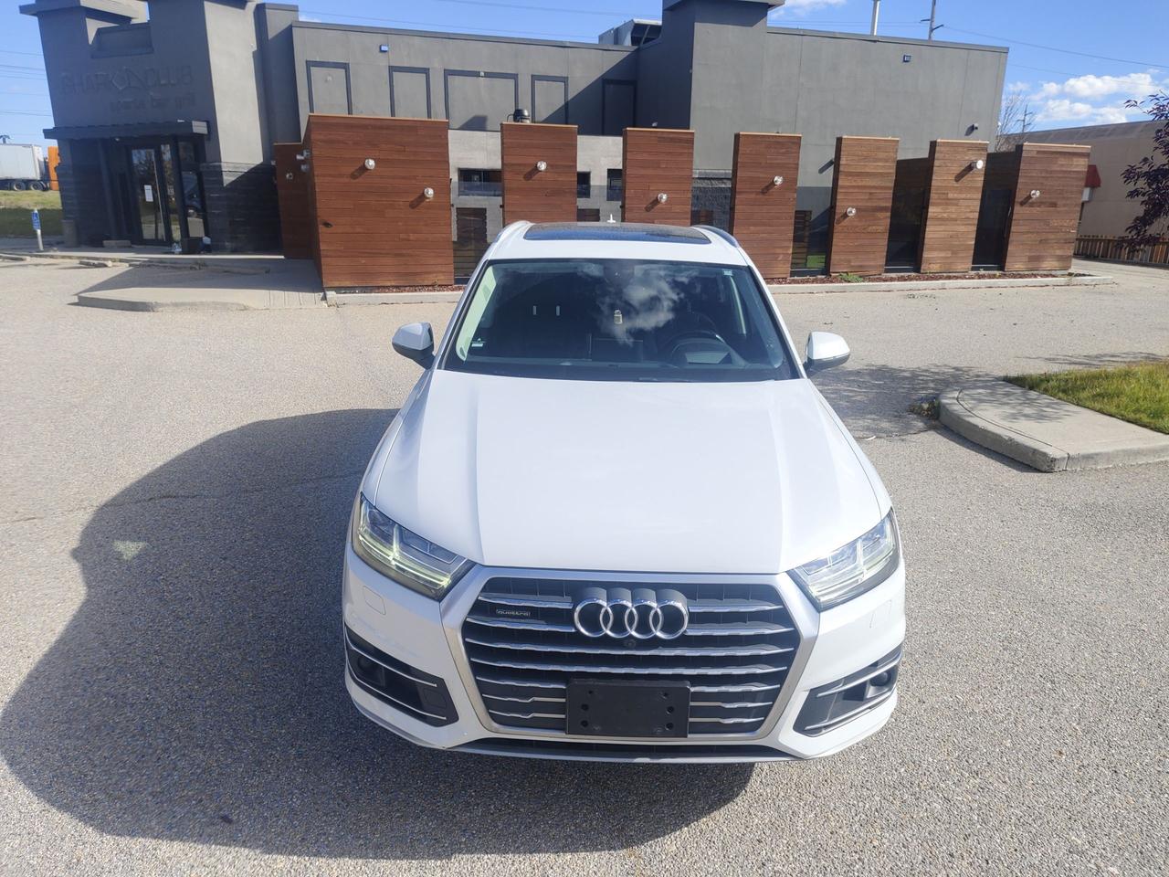 2019 Audi Q7 Technik Photo