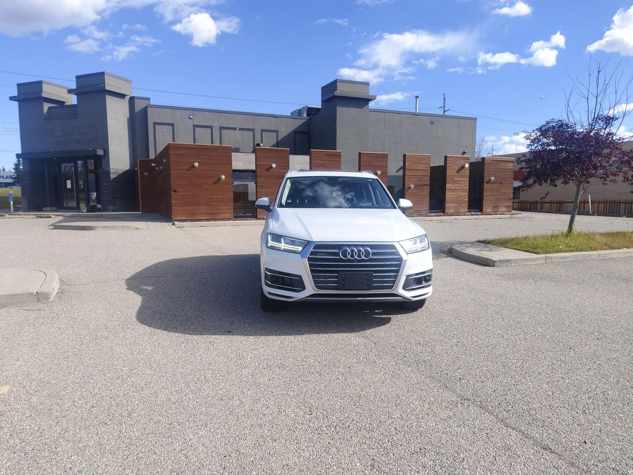 2019 Audi Q7 Technik Photo