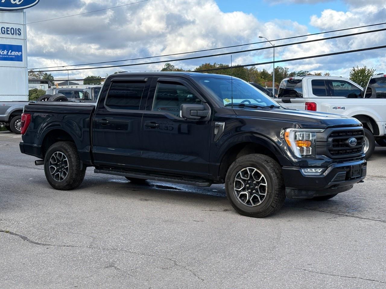 2023 Ford F-150 XLT 4WD SuperCrew 5.5' Box Photo4