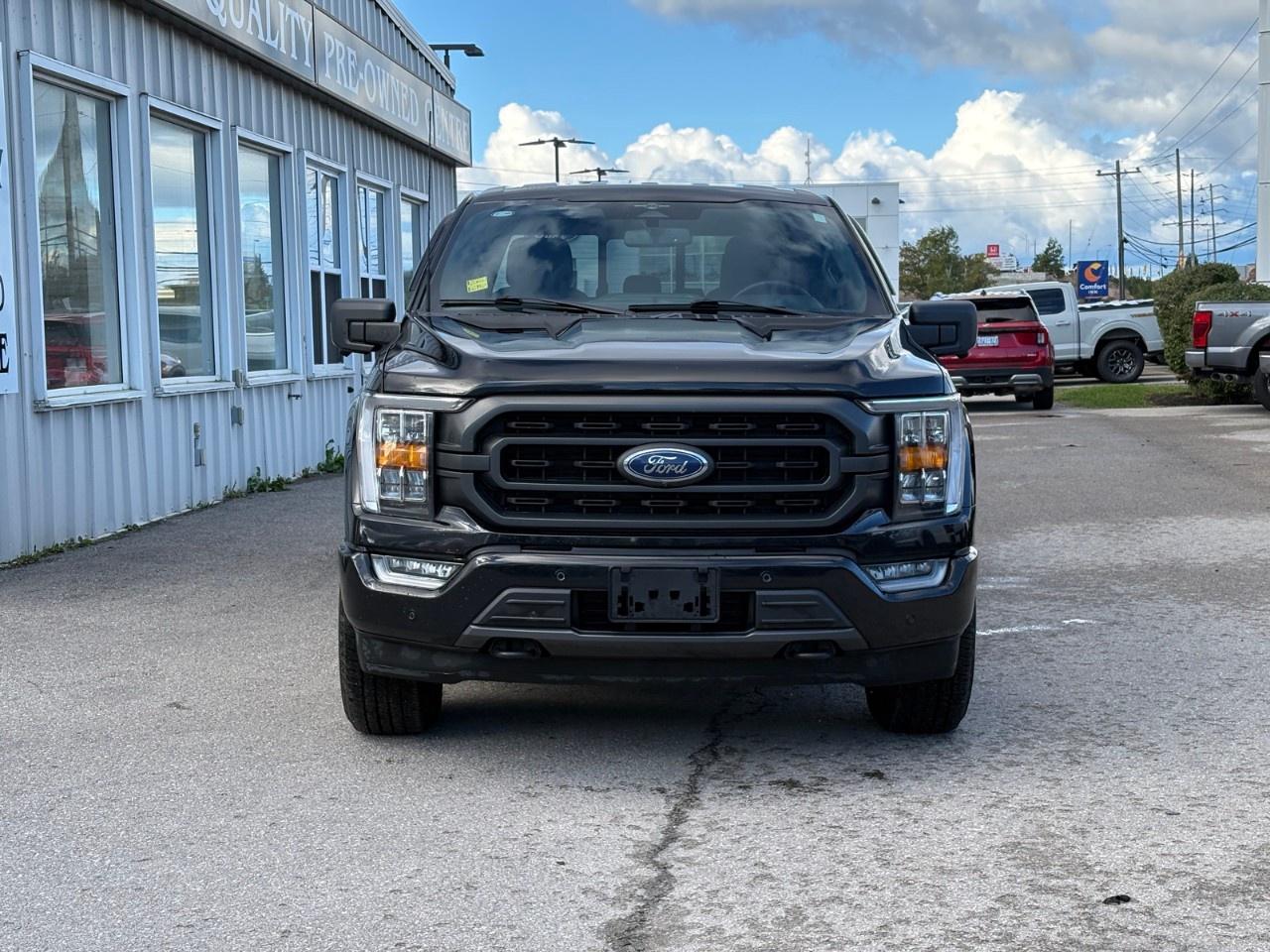 2023 Ford F-150 XLT 4WD SuperCrew 5.5' Box Photo