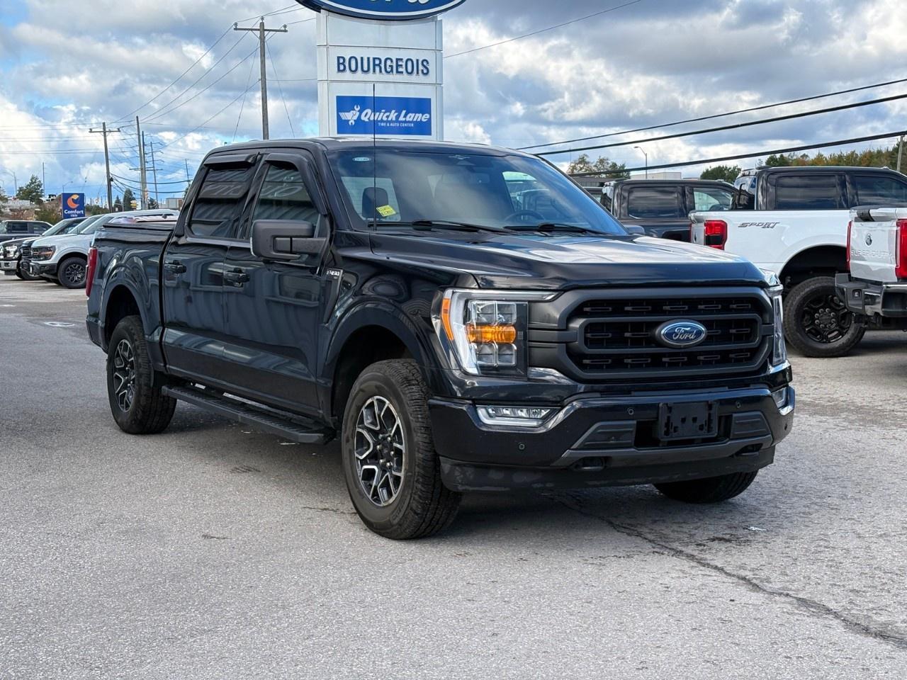 2023 Ford F-150 XLT 4WD SuperCrew 5.5' Box Photo
