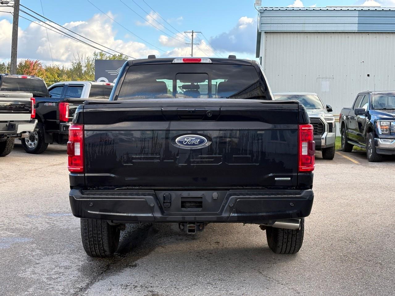 2023 Ford F-150 XLT 4WD SuperCrew 5.5' Box Photo