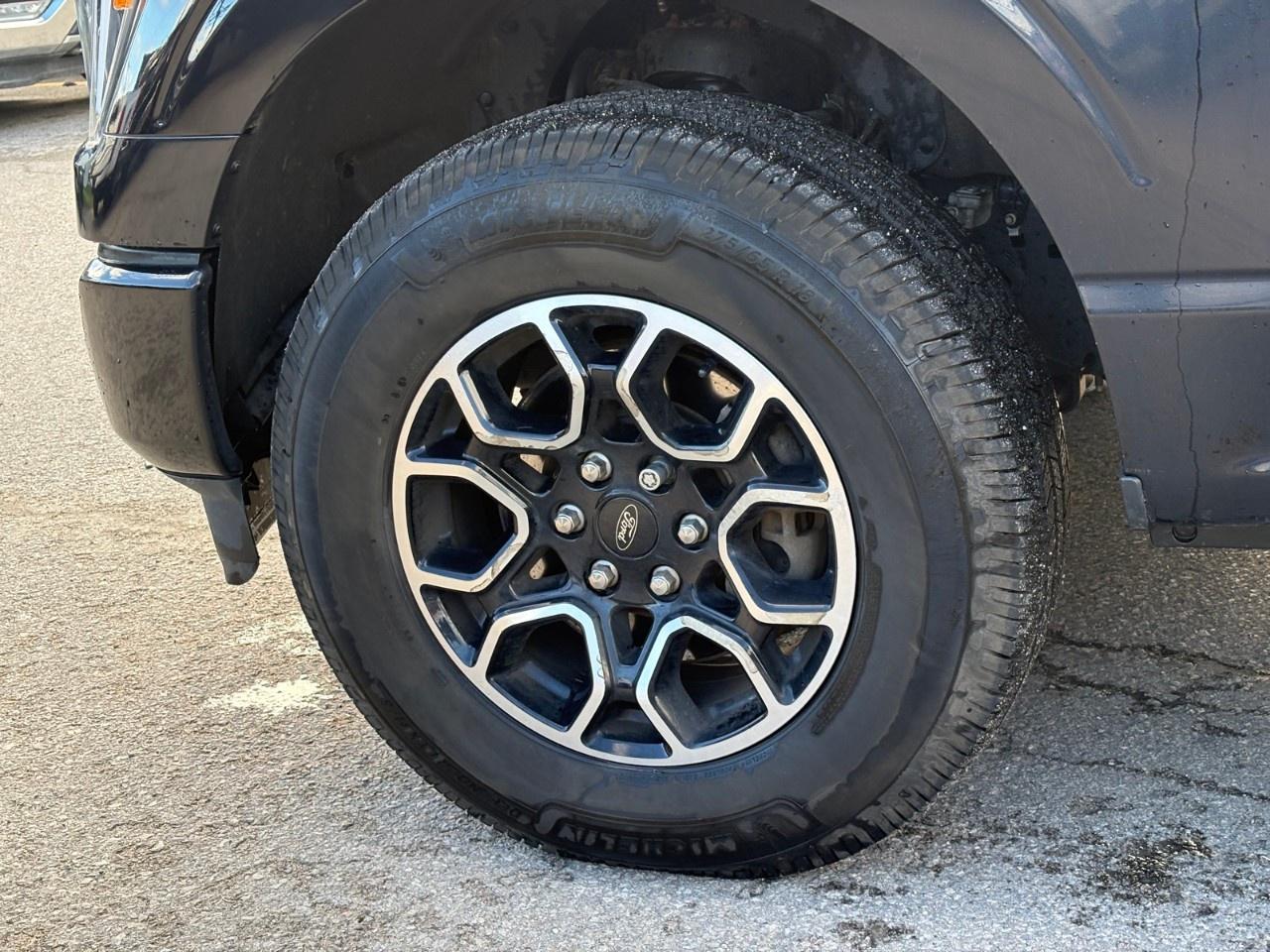 2023 Ford F-150 XLT 4WD SuperCrew 5.5' Box Photo
