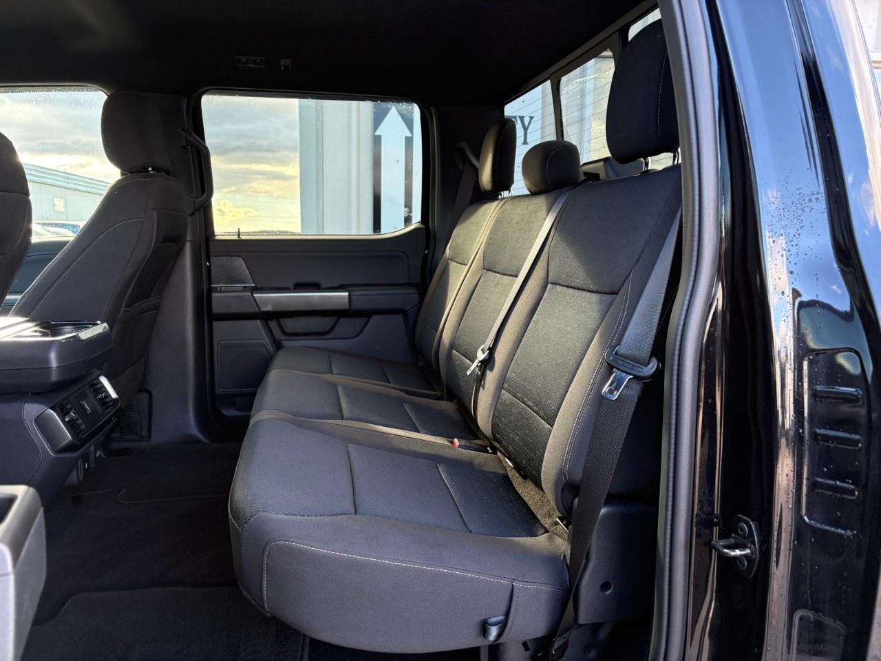 2023 Ford F-150 XLT 4WD SuperCrew 5.5' Box Photo