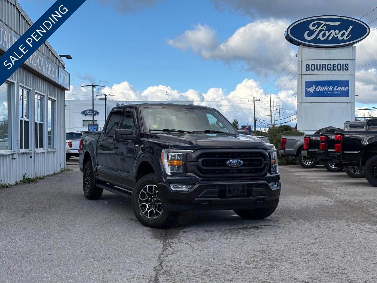 2023 Ford F-150 XLT 4WD SuperCrew 5.5' Box Photo0