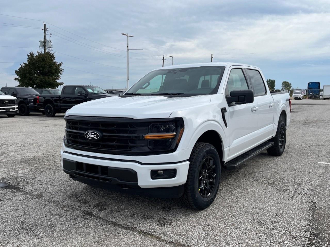 2026 Ford F-150 XLT Photo
